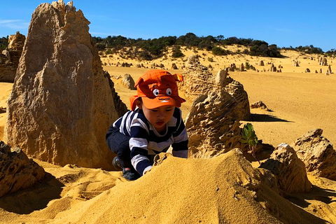 Perth Kids Explorer (Private) Day Tour - Sydneys Hotel 3