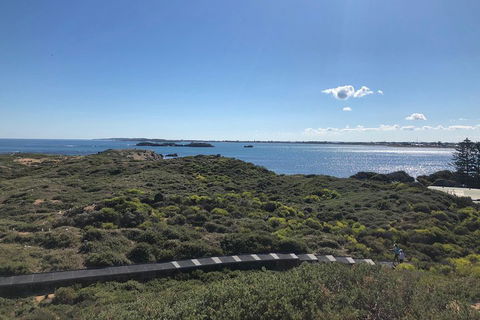 Penguin Island And Fremantle - Canoe, Chocolate & Coffee - Sydneys Hotel 0