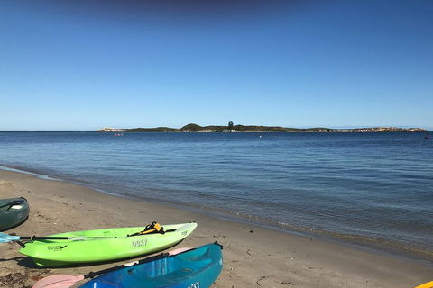 Penguin Island And Fremantle - Canoe, Chocolate & Coffee - Sydneys Hotel 2