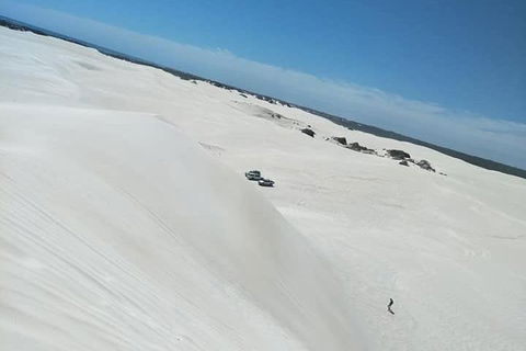 Yanchep & Lancelin - Wildlife, Cave And Sands - Sydneys Hotel 3