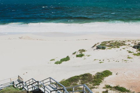 Yanchep & Lancelin - Wildlife, Cave And Sands - Sydneys Hotel 5