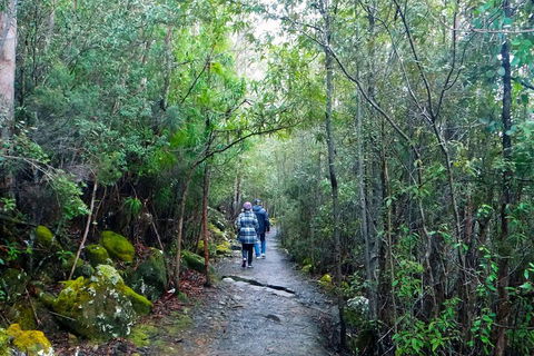 Kunanyi/Mt Wellington Tour & Hobart Hop-On Hop-Off Bus - Sydneys Hotel 1