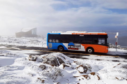 Kunanyi/Mt Wellington Tour & Hobart Hop-On Hop-Off Bus - Sydneys Hotel 2