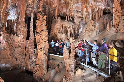 Private Tour: Jenolan Caves & Blue Mountains In A Day - Sydneys Hotel 0