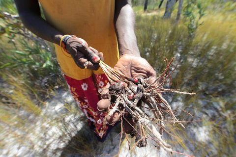 Gay-Wu Woman's 5 Day Yolngu Homeland Tour - Sydneys Hotel 0