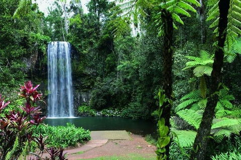 Paronella Park And Millaa Millaa Falls Full-day Tour From Cairns - Sydneys Hotel 3