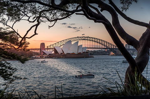 Brilliant Sunset Sydney Harbour And Night Photography Tour - Sydneys Hotel 5