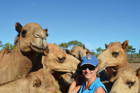 Broome Pre-sunset Camel Tour 30 Minutes - Sydneys Hotel 0