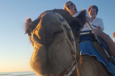 Broome Pre-sunset Camel Tour 30 Minutes - Sydneys Hotel 1