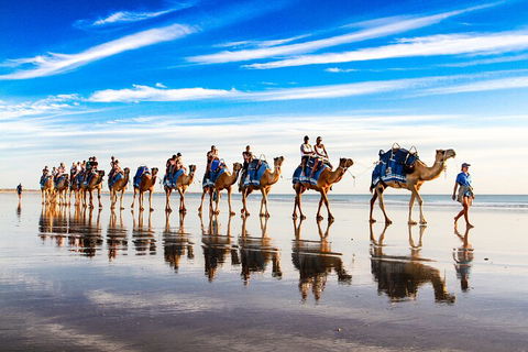 Broome Pre-sunset Camel Tour 30 Minutes - Sydneys Hotel 2