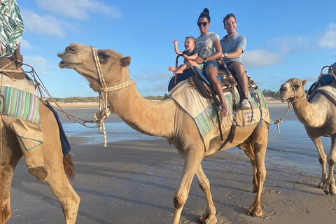 Broome Pre-sunset Camel Tour 30 Minutes - Sydneys Hotel 3