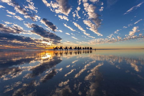 Broome Pre-sunset Camel Tour 30 Minutes - Sydneys Hotel 4
