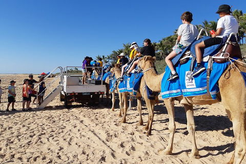 Broome Pre-sunset Camel Tour 30 Minutes - Sydneys Hotel 5