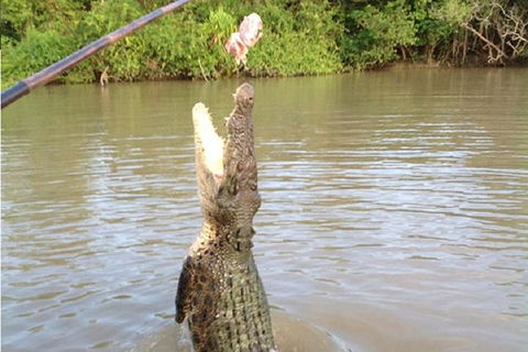 Litchfield National Park And Jumping Crocodile Cruise - Sydneys Hotel 2
