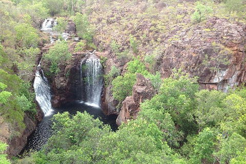 Litchfield National Park And Jumping Crocodile Cruise - Sydneys Hotel 4