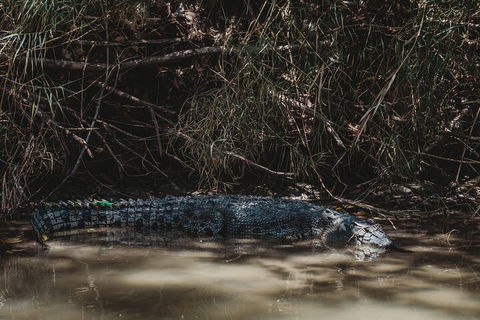 Kakadu Full-Day Tour From Darwin With Lunch - Sydneys Hotel 4