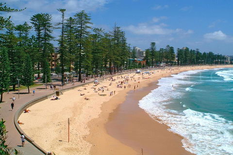 Private Sydney Full Day Tour Including Sydney Opera House, Bondi And Manly - Sydneys Hotel 3