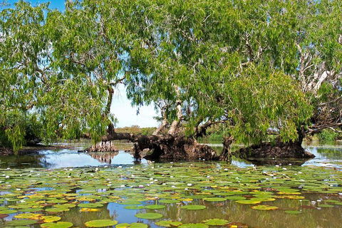 Ethical Adventures - Best In The WET - Litchfield / Kakadu 3 Day- Max 10 Guests - Sydneys Hotel 1
