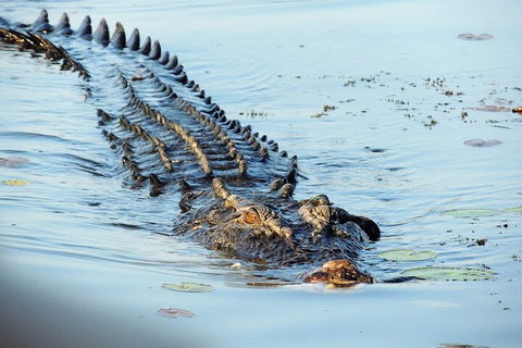 Ethical Adventures - Best In The WET - Litchfield / Kakadu 3 Day- Max 10 Guests - Sydneys Hotel 4