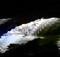 Rainforest  Waterfalls Extravaganza - Sydneys Hotel