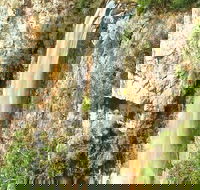 Private Tour - Rainforest  Waterfalls Extravaganza - Sydneys Hotel