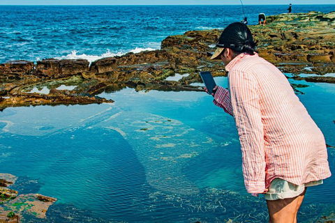 Sydney Private Tour Featuring Wilderness, Wildlife, Waves, Waterfalls And Wine - Sydneys Hotel 1
