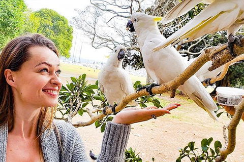 Sydney Private Tour Featuring Wilderness, Wildlife, Waves, Waterfalls And Wine - Sydneys Hotel 4