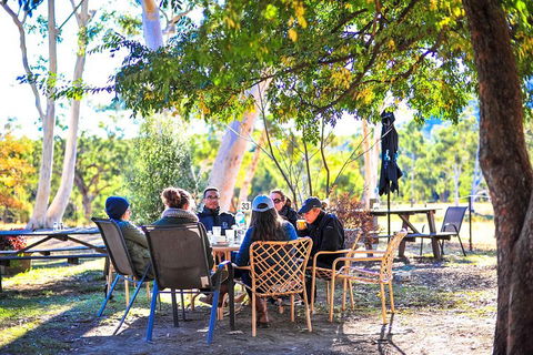 Private Blue Mountains And Winery Day-Trip From Sydney - Sydneys Hotel 1