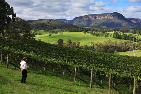 Private Blue Mountains And Winery Day-Trip From Sydney - Sydneys Hotel 2