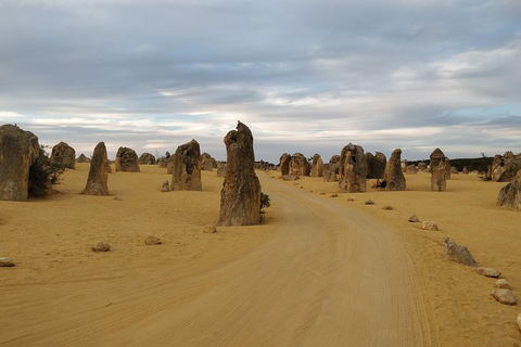 The Pinnacle Adventure Tour - Sydneys Hotel 1