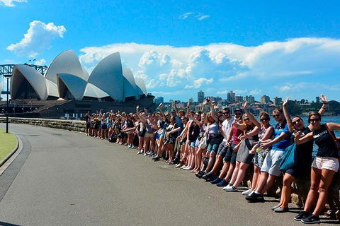7-Day Tour In Sydney With Airport Pickup - Sydneys Hotel 3