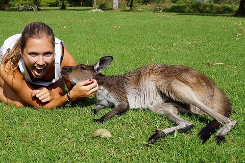 7-Day Tour In Sydney With Airport Pickup - Sydneys Hotel 4