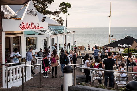 Phillip Island And French Island Wildlife Expedition - Sydneys Hotel 0