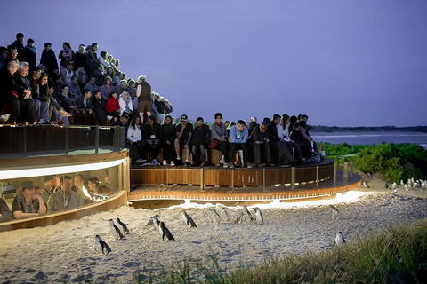 Phillip Island And French Island Wildlife Expedition - Sydneys Hotel 5