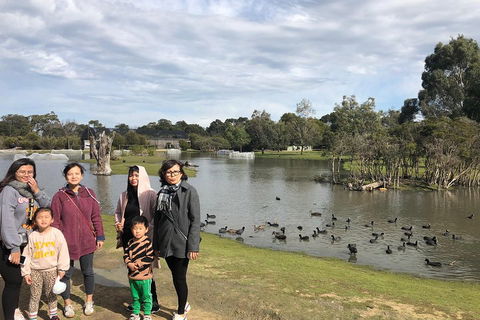 Phillip Island Penguins Private Tour - Sydneys Hotel 1
