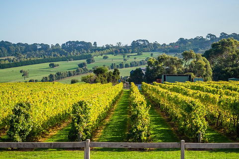 Private Tours From Melbourne - Sydneys Hotel 1