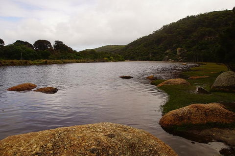 Private Tours From Melbourne - Sydneys Hotel 2