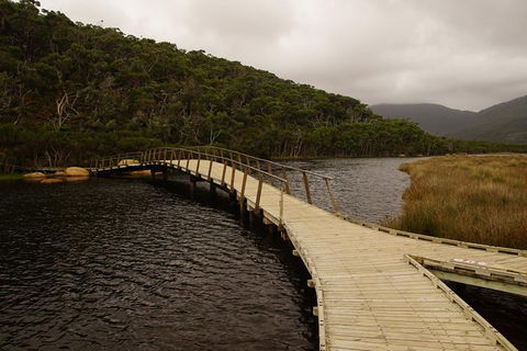 Private Tours From Melbourne - Sydneys Hotel 3