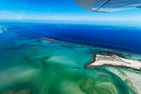 Wet Season Incredible Islands Tour - Horizontal Falls & Cygnet Bay Pearl Farm - Sydneys Hotel 4