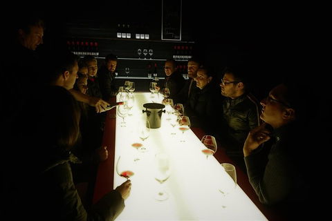 Valleys Of Vino Tour - Sydneys Hotel 0