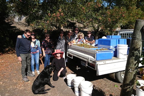 Valleys Of Vino Tour - Sydneys Hotel 1