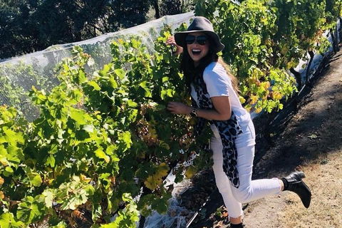 Valleys Of Vino Tour - Sydneys Hotel 3