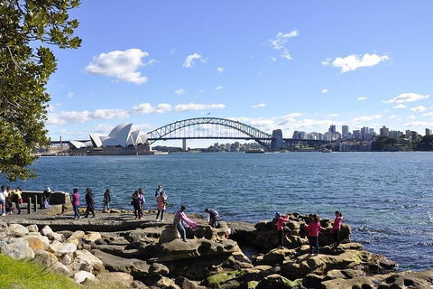 Sydney Sightseeing Bus Tours - Sydneys Hotel 2