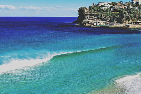 Sydney & Bondi Beach Plus Local Secrets With 'Personalised Sydney Tours' - Sydneys Hotel 1