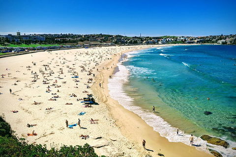 Sydney & Bondi Beach Plus Local Secrets With 'Personalised Sydney Tours' - Sydneys Hotel 5