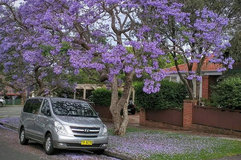Sydney Secrets & Bondi Beach Private 4 Hr Morning With Personalised Sydney Tours - Sydneys Hotel 0