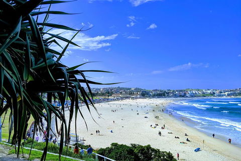 Sydney Secrets & Bondi Private 4 Hour Afternoon With 'Personalised Sydney Tours' - Sydneys Hotel 0