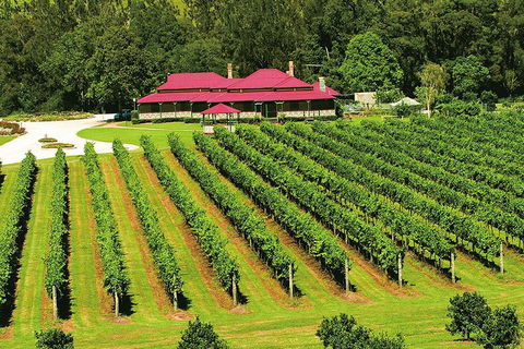 O'Reilly's & Lamington National Park From Brisbane - Sydneys Hotel 2