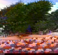 Byron Bay and the Crystal Castle Day Tour from Gold Coast - Sydneys Hotel