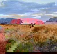 Uluru Ayers Rock Sunset with Outback Barbecue Dinner and Star Tour - Sydneys Hotel